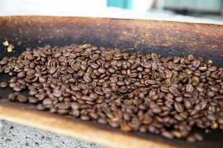 咖啡豆,决明子,饮料-大麦茶,酸枣仁,中药药材-亚麻子,咖啡