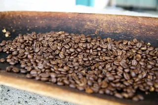 咖啡豆,决明子,饮料-大麦茶,酸枣仁,中药药材-亚麻子,咖啡