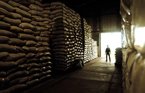 MostraFotográficaPAA | 10 Anos deAquisiçãode Alimentos