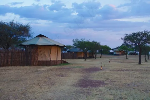 2014年8月，非洲野生动物园-080