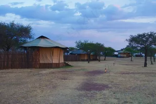 2014年8月，非洲野生动物园-080