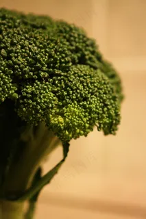 西兰花,花椰菜,宝塔菜,花卉,蔬菜,Che cavolo ！！！