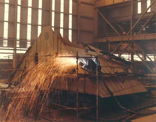 鸟类,画眉,笼子,虫子,水冷壁,电焊工