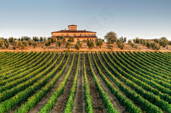 草原,自然公园,龙脊梯田,茶地,山峦,Ville dans les vignes-Riguelle 2936VB