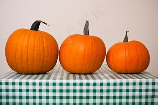 南瓜,大南瓜,南瓜灯,脐橙,小金瓜,分配南瓜