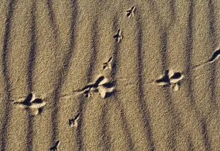 沙漠,材质贴图,地毯,月球环形山,项链,十字路口