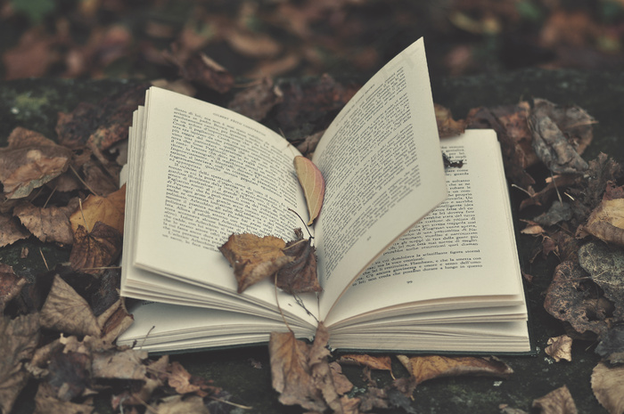 书本,书籍,头饰,卡通动漫人物,纪念章,书