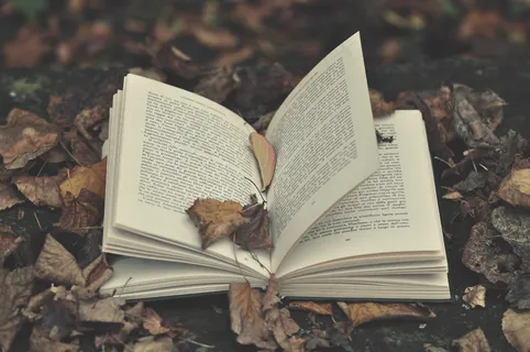 书本,书籍,头饰,卡通动漫人物,纪念章,书