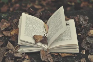 书本,书籍,头饰,卡通动漫人物,纪念章,书