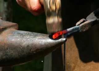 脚,犀牛角,水壶,杯子,食人鱼,伪造@ RCS_Z16880