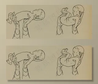 ,简笔画,工笔画,五禽戏,,图片来自“个人卫生和家庭护理：家庭和学校使用的女孩和妇女的实用文字”的第217页（1919年）