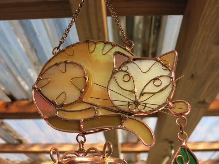 黄猫