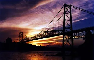 桥梁,夜景照明,树,灯,夜景工程,PonteHercílioLuz