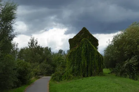 植物,树,天空,风景,海洋,一个绿色的家