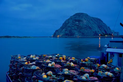 海洋,湖泊,山峦,天空,风景,捕蟹器