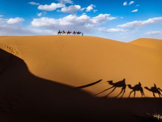 天空,沙漠,驼队,书本,屏幕截图,双人大篷车