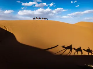 天空,沙漠,驼队,书本,屏幕截图,双人大篷车