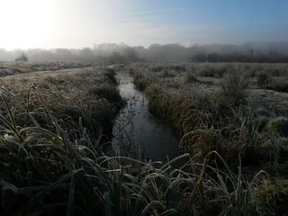 索普沼泽自然保护区