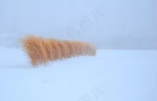 这是河流和城市天际线的图片。