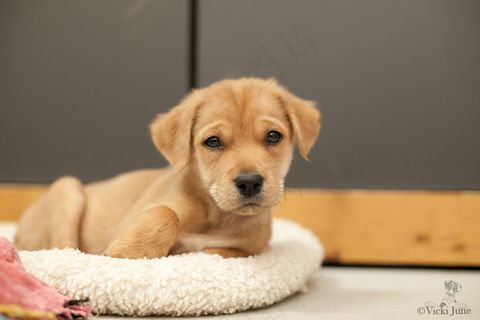 杰特麻烦制造者