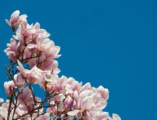 波士顿马拉松轰炸-一周后