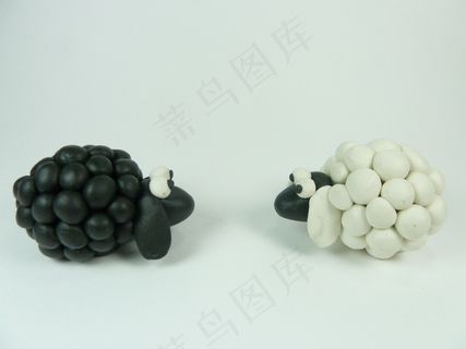 黑羊遇见白羊