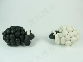 黑羊遇见白羊