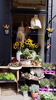 花店,布劳顿街02 花店,布劳顿街02