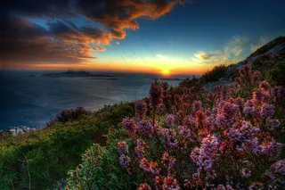 花海,山峦,霞光,天空,油画,离岛日落2