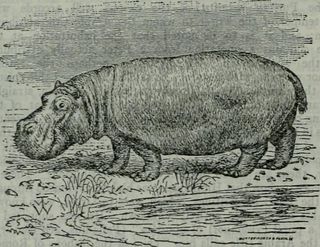 图片来自“大英百科全书；艺术，科学，文学和一般信息词典”的第549页（1910年）