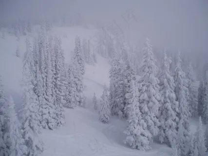 暴雪-斯廷博特斯普林斯,科罗拉多州 暴雪-斯廷博特斯普林斯,科罗拉多州