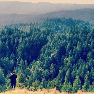 当我们探索红杉并将其放回我们的汽车之前，这实际上是#tbt，因为它太黑了。