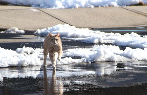 一天之内变化真大！ （2之1）