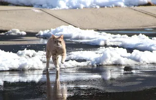 一天之内变化真大！ （2之1）