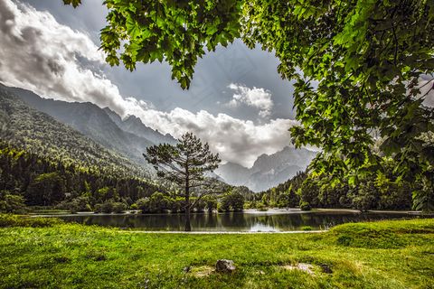 树,花卉,风景,山峦,草原,美丽的国家公园森林与山谷中的神奇湖