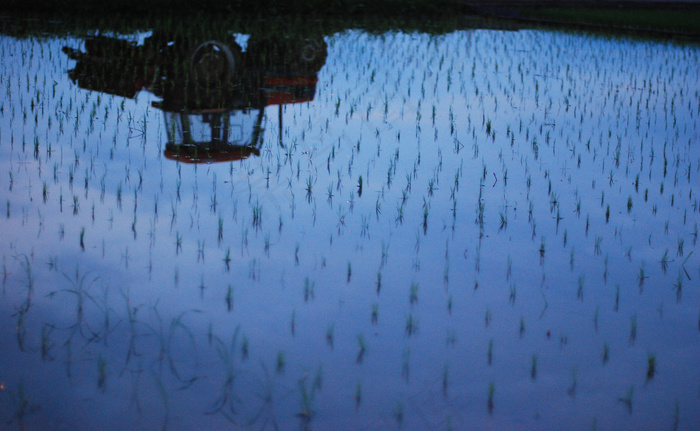 湖泊,江河,自然公园,海洋,冰雪,种植水稻