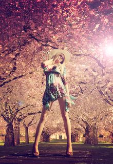 植物,樱花树,樱花盛开,佛像,油画,梅利莎·阿德瑞（Melissa Adret）