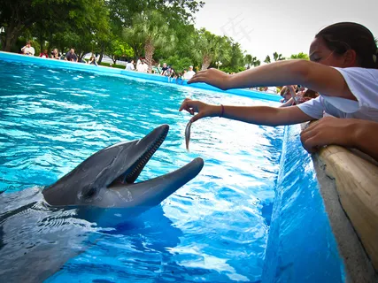 圣安东尼奥海洋世界