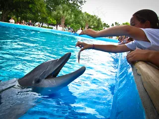 圣安东尼奥海洋世界