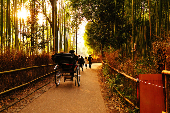 竹林竹林の道_03