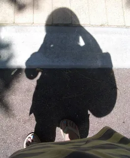 运动鞋,黑熊,狗熊,摩托车,背包,阴影