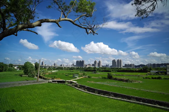 草原,体育场馆,天空,海洋,自然公园,0822
