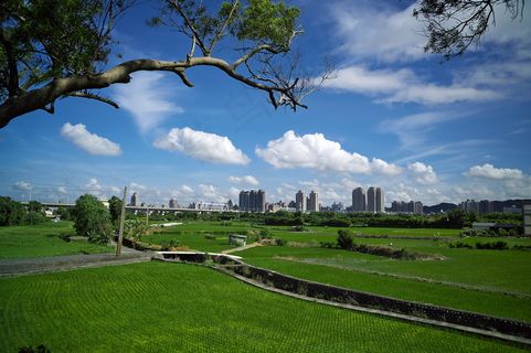 草原,体育场馆,天空,海洋,自然公园,0822