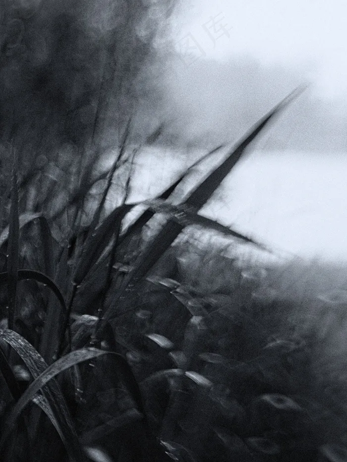 绘画,山峦,云雾,钢笔画,版画,雨天