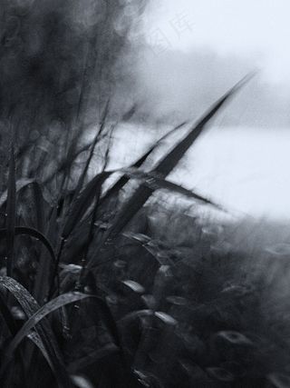 绘画,山峦,云雾,钢笔画,版画,雨天