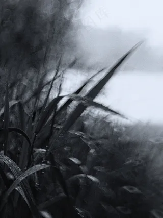 绘画,山峦,云雾,钢笔画,版画,雨天