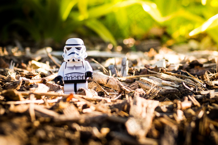 蝗虫,卡通动漫人物,熊猫异形鱼,树,玉米,风雨如磐（v2）