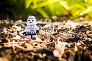 蝗虫,卡通动漫人物,熊猫异形鱼,树,玉米,风雨如磐（v2）