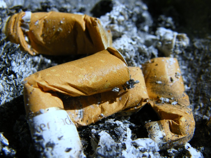 甜品,凤梨酥,面包,奶酪,土凤梨酥,$骨灰$