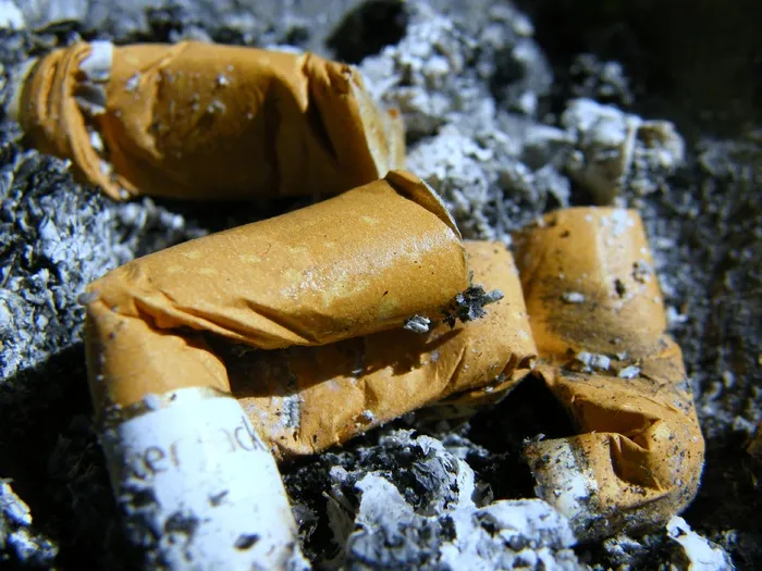 甜品,凤梨酥,面包,奶酪,土凤梨酥,$骨灰$